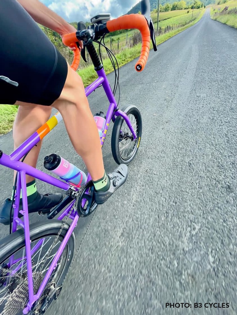 Soma Frameset Rufus Mini Velo Purple
