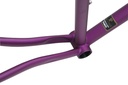 Soma Frameset Rush Purple stays