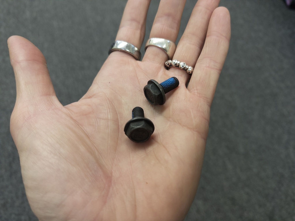 Two Crank Bolts (Set of 2)