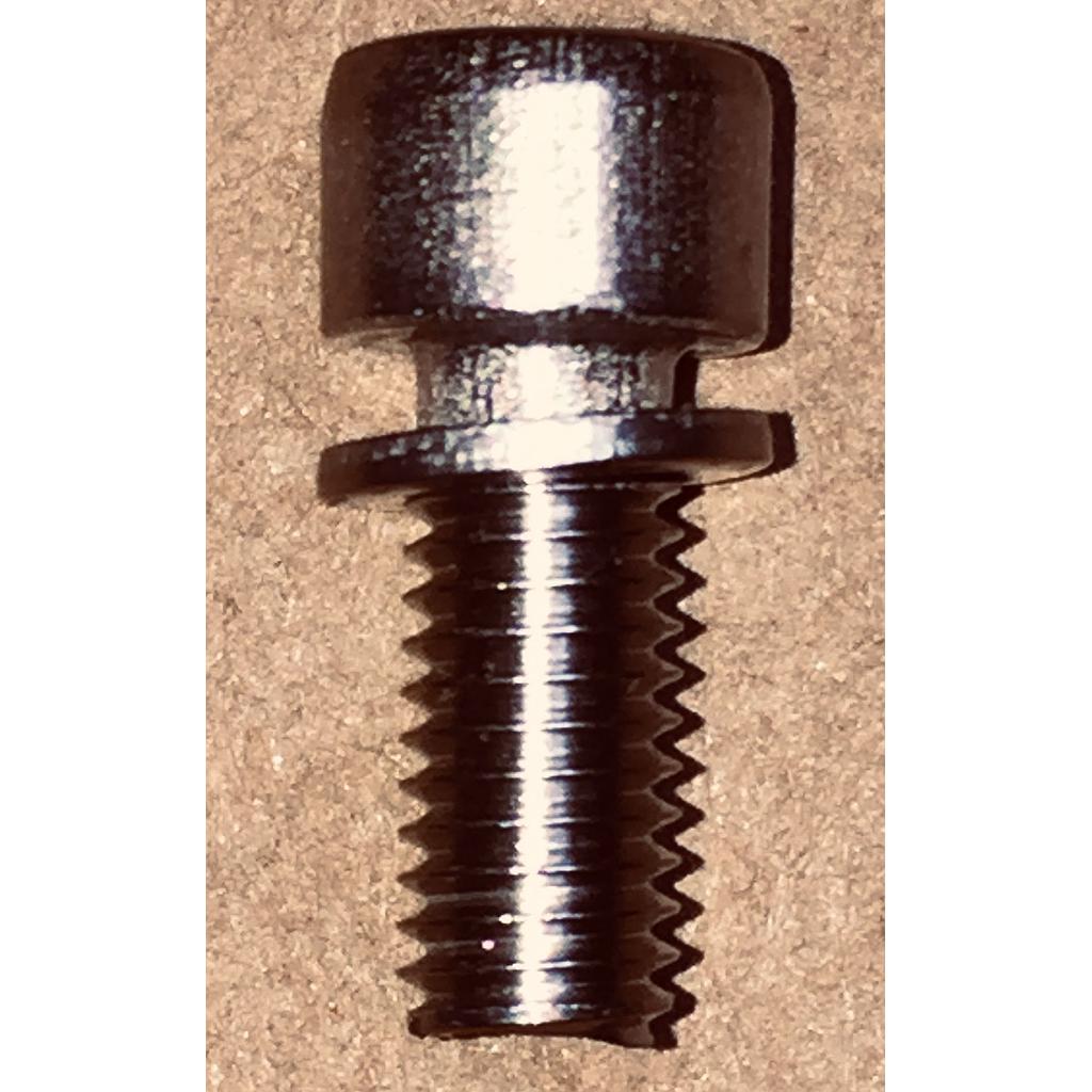 [C23419] Cap Screw M5X12mm
