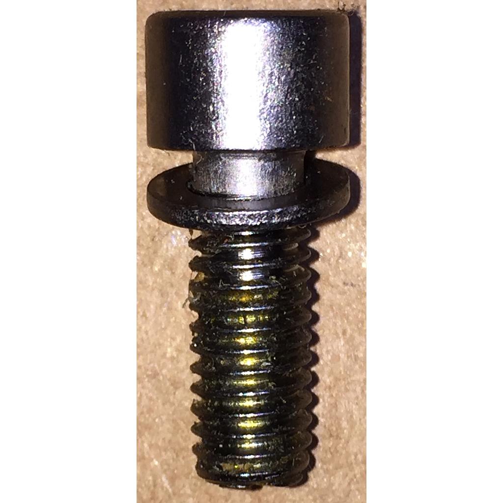 [C23619] Cap Screw M6X15mm